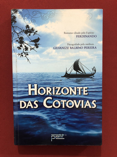 Livro - Horizonte Das Cotovias - Gilvaize B. Pereira - Petit