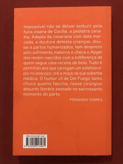 Livro - A Pediatra - Andréa Del Fuego - Companhia Das Letras - comprar online