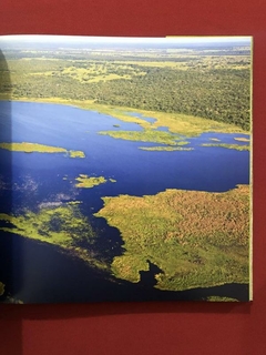 Livro - Joias Azuis No Céu Do Pantanal - Neiva M. R. Guedes - Ed. DBA - Sebo Mosaico - Livros, DVD's, CD's, LP's, Gibis e HQ's