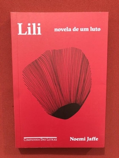 Livro - Lili: Novela De Um Luto - Noemi Jaffe - Seminovo