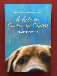 Livro - A Arte De Correr Na Chuva - Garth Stein - Seminovo