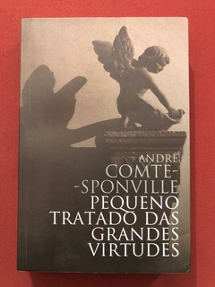 Livro - Pequeno Tratado Das Grandes Virtudes - André Comte - Seminovo