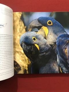 Livro - Joias Azuis No Céu Do Pantanal - Neiva M. R. Guedes - Ed. DBA - loja online