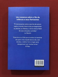 Livro - Os Abismos - Pilar Quintana - Ed. Intrínseca - Seminovo - comprar online