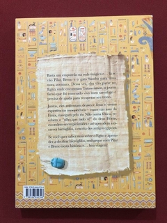 Livro - Diário De Pilar No Egito - Flávia Lins E Silva - Zahar - Seminovo - comprar online