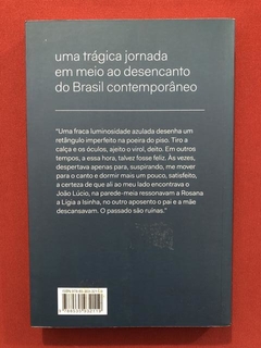 Livro- O Verão Tardio- Luiz Ruffato- Cia. Das Letras - Semin - comprar online