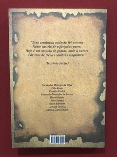 Livro - As Nuances Do Gótico - Luciana Colucci - Seminovo - comprar online