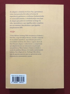Livro - A Alegria De Ser - Tarthang Tulku - Seminovo - comprar online
