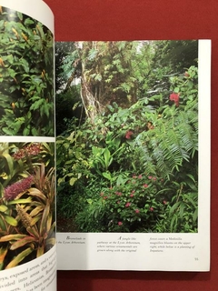 Livro- The Tropical Garden - William Warren- Thames & Hudson - Sebo Mosaico - Livros, DVD's, CD's, LP's, Gibis e HQ's