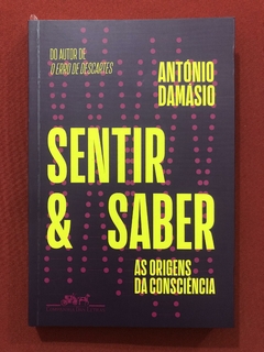 Livro - Sentir E Saber - António Damásio - Companhia Das Letras - Seminovo