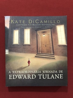 Livro - A Extraordinária Jornada De Edward Tulane - Seminovo
