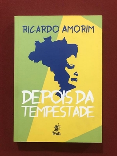 Livro - Depois Da Tempestade - Ricardo Amorim - Seminovo