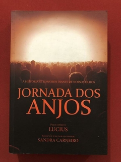 Livro - Jornada Dos Anjos - Sandra Carneiro - Ed. Vivaluz