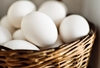 Huevos grandes organicos de gallinas libres de jaula