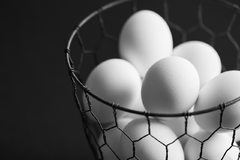 Huevos grandes orgánicos de gallinas libres de jaula x3 maples