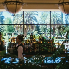Lobby Bar - Sheraton Pilar Hotel & Convention Center