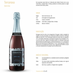 Espumante Terranova Brut Rosé Demi-Sec Moscatel Miolo 750ml na internet