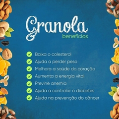 Granola com Castanha do Pará Tia Sônia Baixo em Sódio 200g - Newness Bebidas