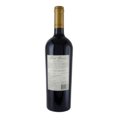 Vinho Punto Maximo Gran Reserva Cabernet Sauvignon 750ml - comprar online