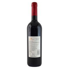 Vinho Trapiche Tesoro Malbec Tinto Argentino - Garrafa 750ml - comprar online