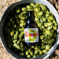 Cerveja Duvel Tripel Hop Citra Belgian IPA Garrafa 330ml - Newness Bebidas