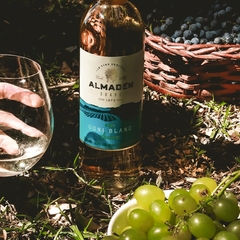 Vinho Almadén Branco Suave Ugni Blanc Vinícola Miolo 750ml - comprar online