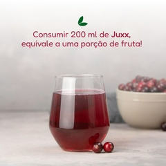 Suco Juxx Cranberry Funcional Embalagem Tetrapack 1000ml - comprar online