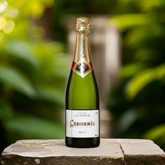 Kit Espumante Cava Codorniu Brut Clasico 750ml 2 Taças Opala - Newness Bebidas