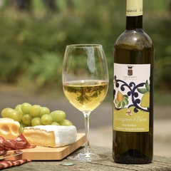 Vinho Casa Scalecci Sauvignon Blanc IGP Branco 750ml - Newness Bebidas