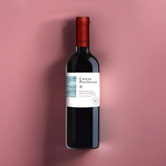 Vinho Costa Pacífico Tinto Cabernet Sauvignon Chile 750ml - Newness Bebidas