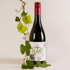 Vinho Miolo Wild Gamay Noveau Tinto Sem Adição Sulfito 750ml - Newness Bebidas