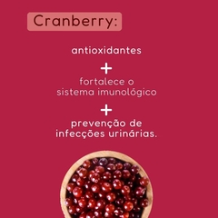 Suco Juxx Cranberry com Morango Zero Açúcar 1000ml - loja online