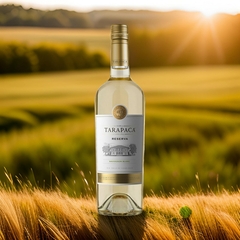 Vinho Tarapacá Reserva Sauvignon Blanc Chileno Branco 750ml - loja online