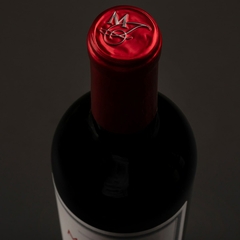 Vinho Miolo Merlot Terroir Tinto Vale dos Vinhedos DO 750ml na internet