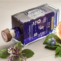 Gin Beg Modern & Tropical Gin Tônica Drinks Garrafa 750ml - comprar online