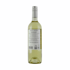 Vinho Santa Tierra Estate Casa Silva Sauvignon Blanc 750ml - comprar online