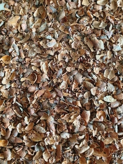 Infusión de cacao fino de aroma x 200 gramos. en internet