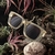 Imagem do Óculos de Sol Deluxe - Daytona - Nude Transparente