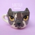 taza GATO personalizada - tienda online