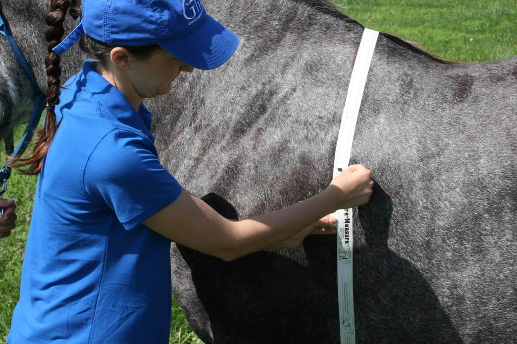 Shanrya Cinta métrica de altura de caballo, cinta métrica multifuncional  para medir el busto, cinta de peso de caballo para medición de peso, cinta