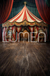 Fundo Fotográfico CIRCO LMCIR04 - comprar online