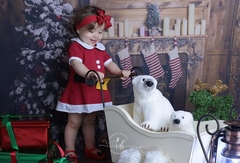 Vestido Baby Noela - comprar online