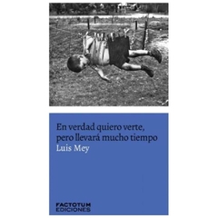 en verdad quiero verte, pero llevara mucho tiempo - luis mey