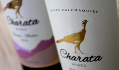 Banner de la categoría Charata Wines