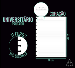 Refil miolo - Universitário na internet