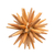 Escultura Estrela Pinus na internet