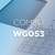Combo WG053 Para Hornos iCombi Pro 1/1 GN - Wayne Gourmet