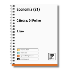 Economia (21) Cat: Di Pelino - Libro (ANILLADO)