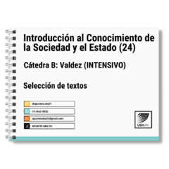 ICSE (24) INTENSIVO Catedra B: Valdez - Selección de textos (Anillado)