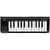 Korg microKEY Air-25